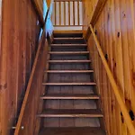 Vosgien Chez Capucine Et Mirabelle *