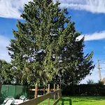 Vosgien Chez Capucine Et Mirabelle