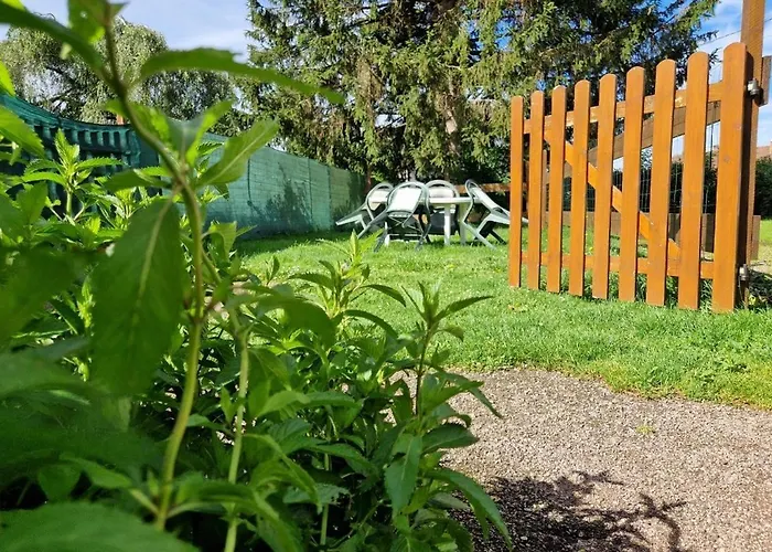 Vosgien Chez Capucine Et Mirabelle *