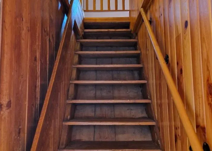 Vosgien Chez Capucine Et Mirabelle *